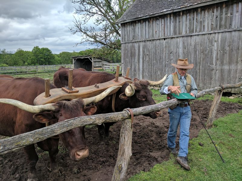 Harvest Days, Heirloom Gardens, And Candlelight Evenings