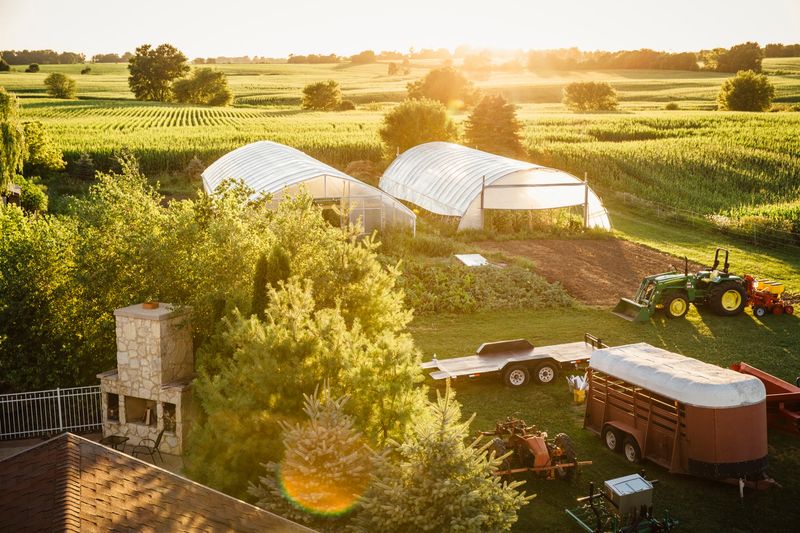 Harvest Views That Stretch To The Horizon