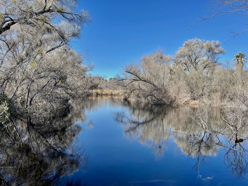 Hassayampa River Preserve, Wickenburg, Arizona Hassayampa River Preserve, Wickenburg, Arizona