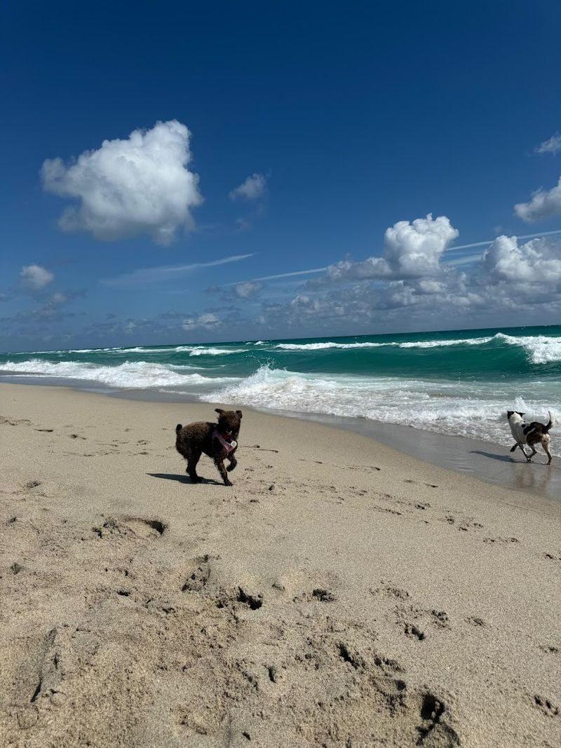Haulover Beach Dog Park
