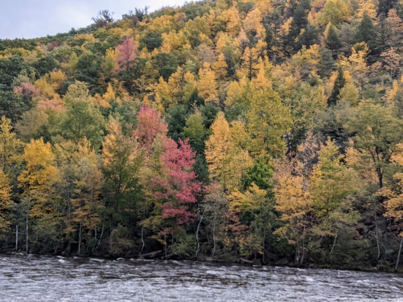 Fall Foliage Season That Rivals New England