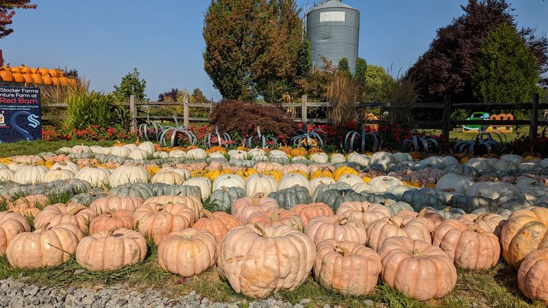 Haunted Trails That Turn The Farm Spooky After Dark Haunted Trails That Turn The Farm Spooky After Dark