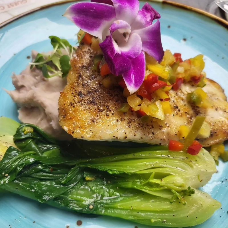 Social Media Hype Drives the Daily Rush