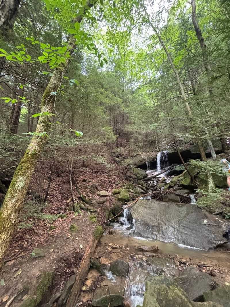 Kildoo Trail, McConnells Mill State Park, PA