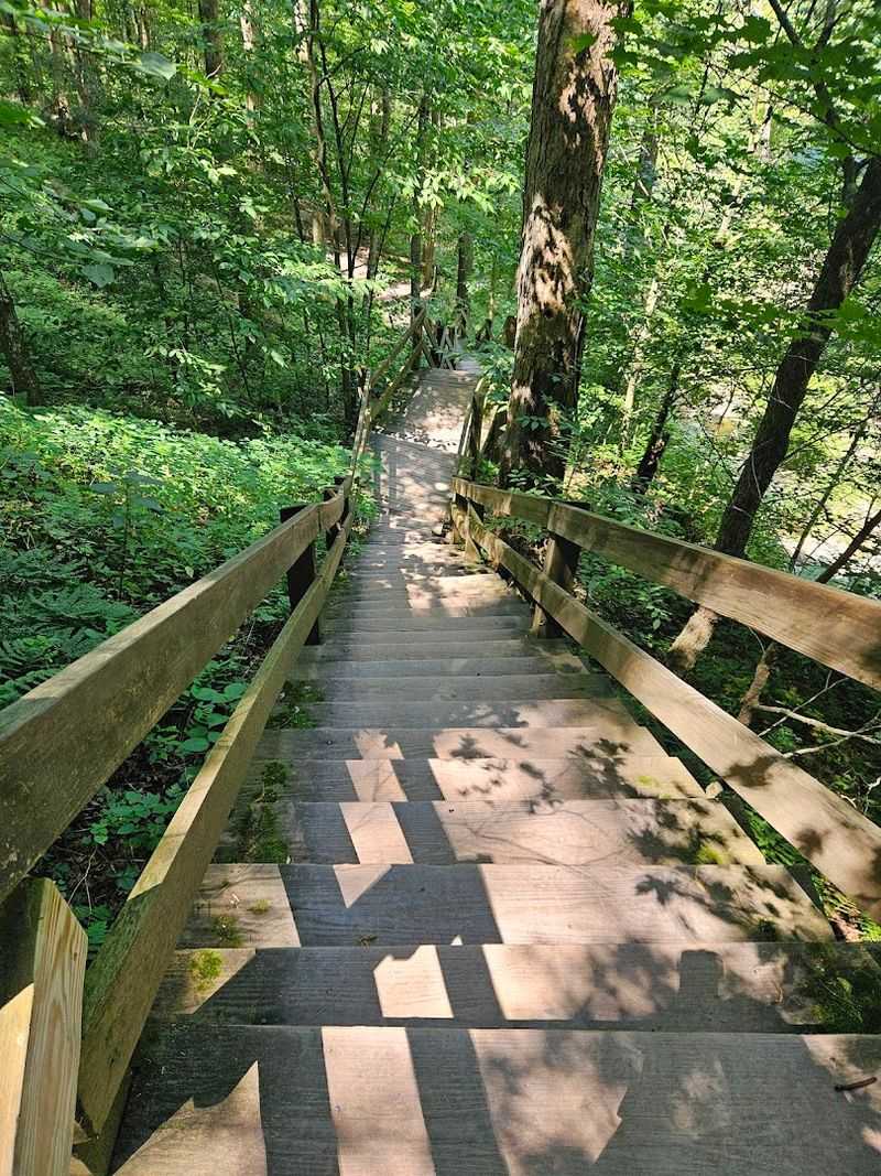 Turkey Path Trail, Leonard Harrison State Park