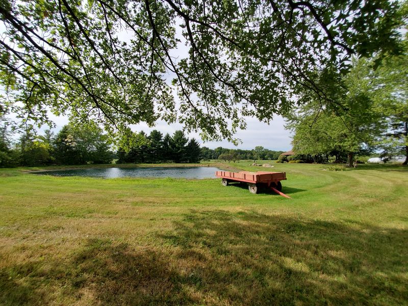 Hay Rides Or A Walk By The Pond