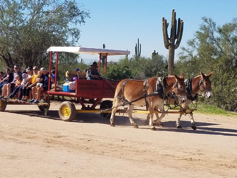 Hayrides And Stagecoach Rides