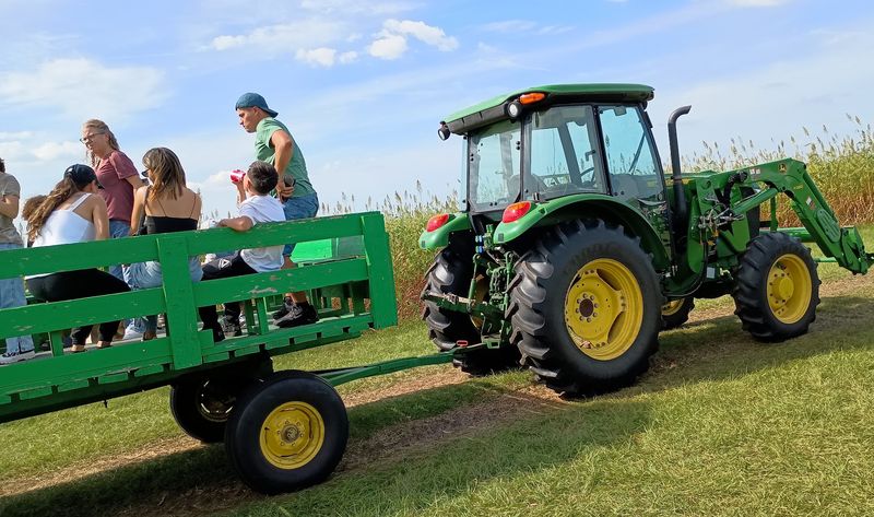 Hayrides And Tractor Adventures