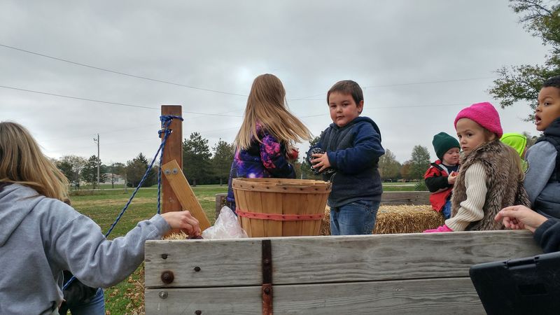 Hayrides And Tractor Fun
