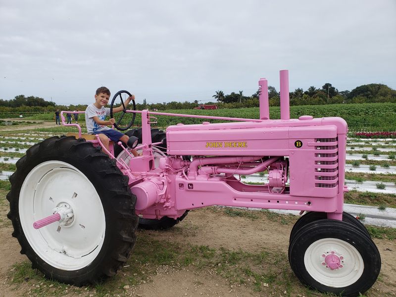 Hayrides And Tractor Tours Roll Through The Farm Hayrides And Tractor Tours Roll Through The Farm