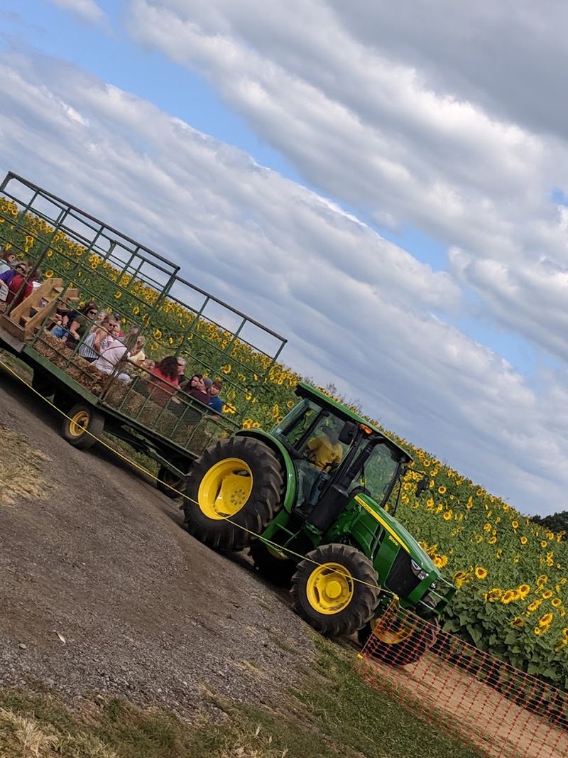 Hayrides, Animal Encounters, And Activities For Every Age