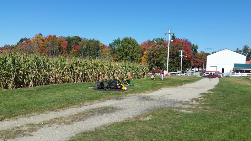 Hayrides, Corn Mazes, And Fall Fun