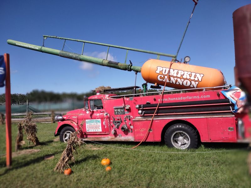 Hayrides, Corn Mazes, And The Pumpkin Cannon