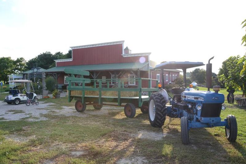 Hayrides, Pumpkin Cannons, And Pedal Carts Hayrides, Pumpkin Cannons, And Pedal Carts