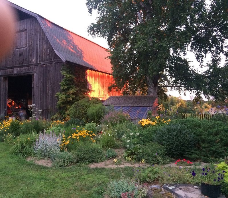 Hazel Hill Orchard's Quiet Charm