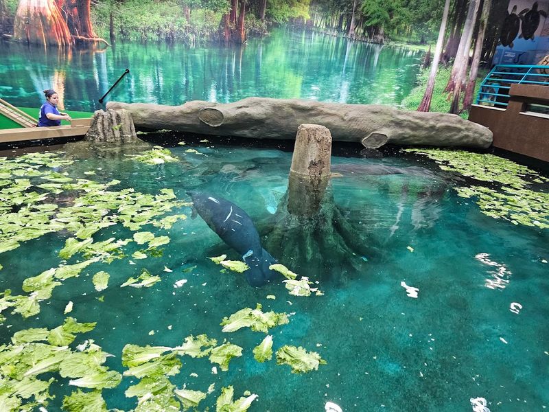 Snooty Inspired Generations Of Florida Children