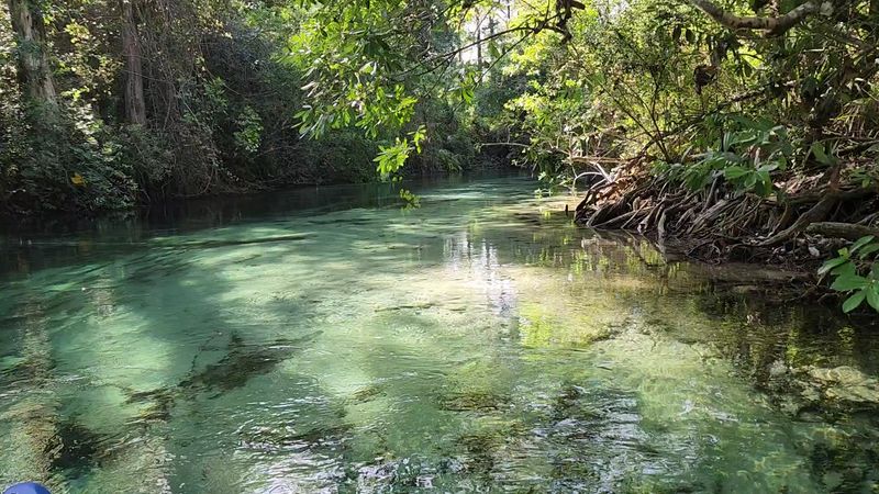 Finding Quiet In A Busy Paradise