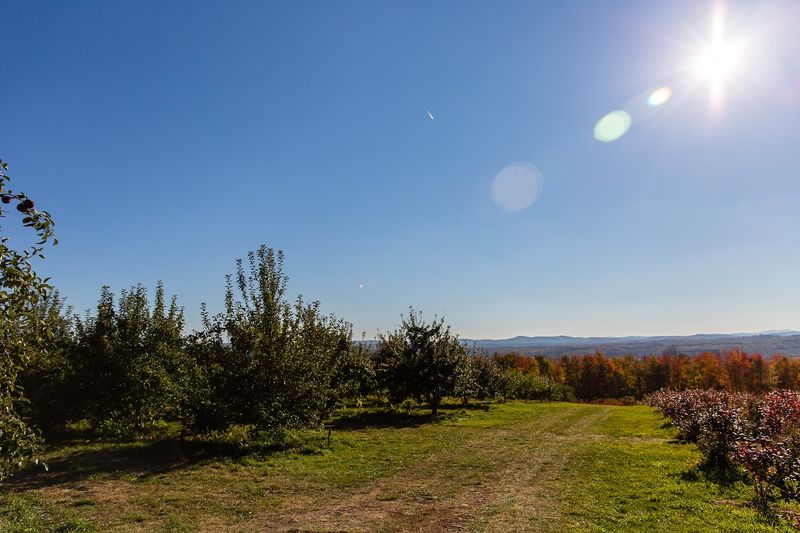 Head Up The Hill For Pick-Your-Own Apples With A View
