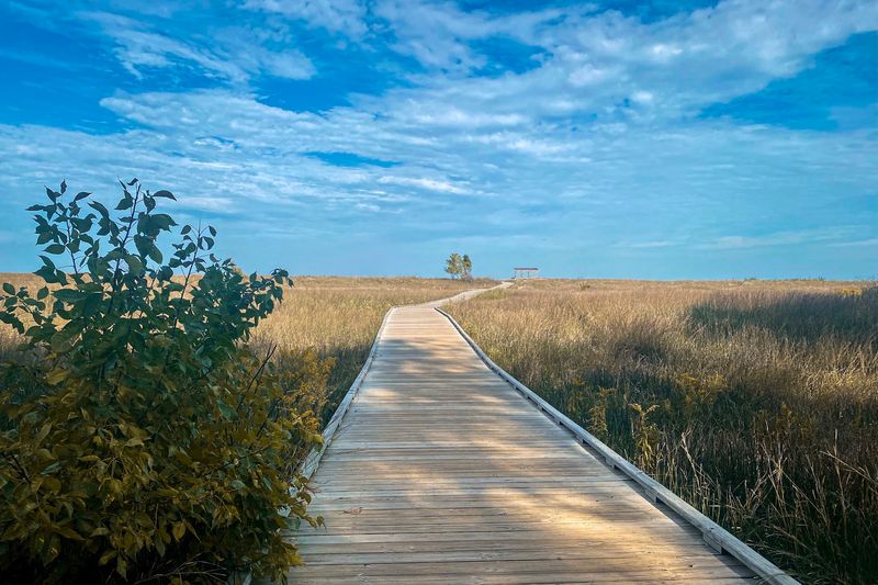 Headlands Beach State Park, Mentor
