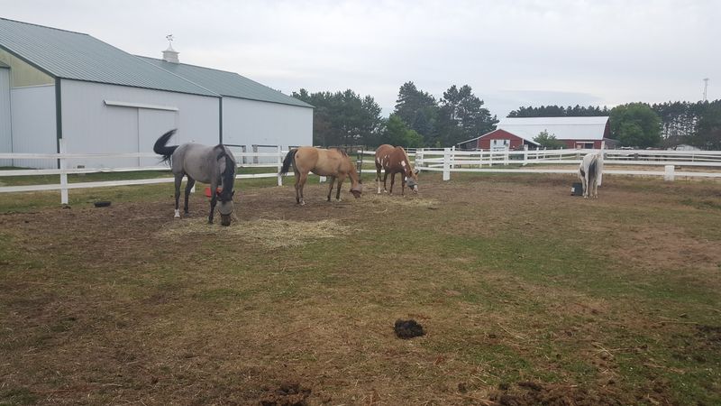 Healey's Outback Ranch