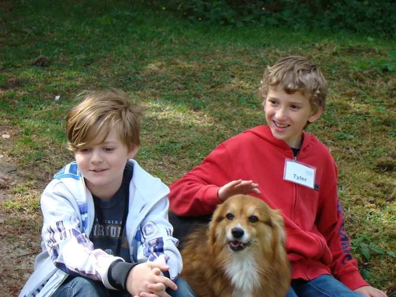 Healing Programs For Children And Families Healing Programs For Children And Families