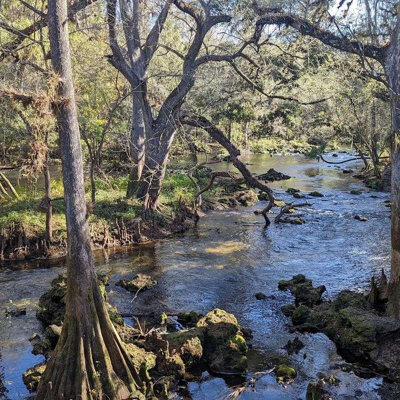 Nature Escapes That Feel Miles Away From Everything