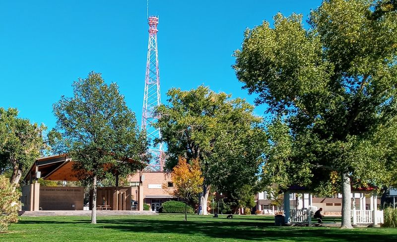 Everyday Expenses That Don't Drain Your Account