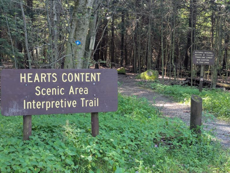 Hearts Content Recreation Area, Allegheny National Forest, Pennsylvania