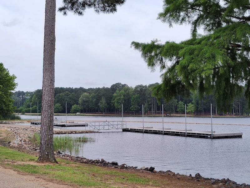 Wind And Baitfish Positioning For Giants