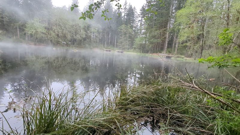 Hebo Lake Campground