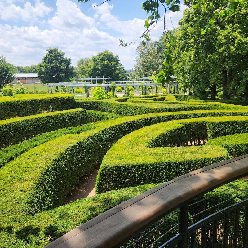 Hedge Maze, Children's Garden And The Acorn Express