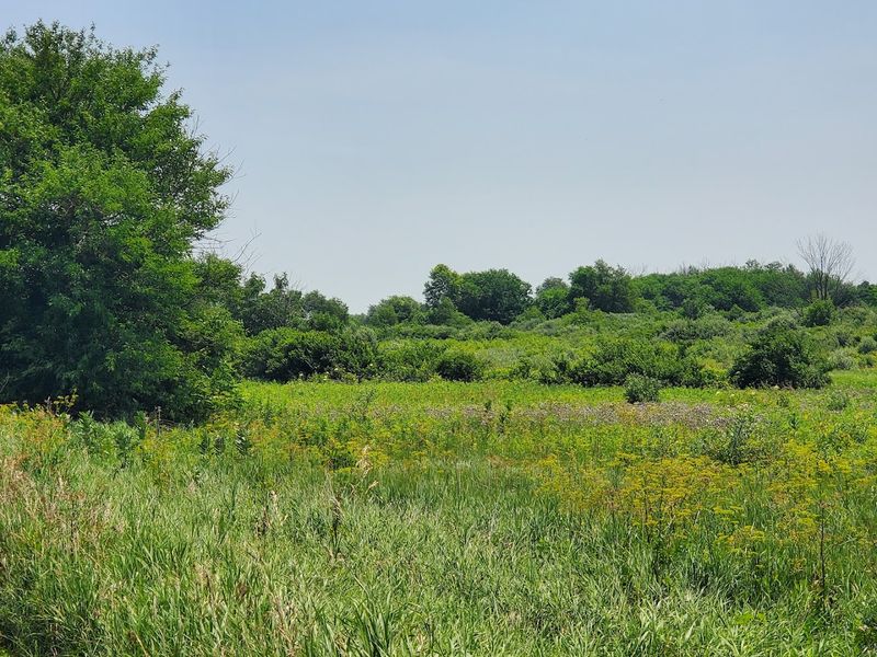 Midewin National Tallgrass Prairie, Wilmington