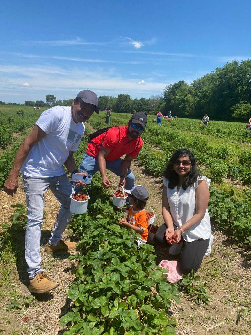 Jefferies Orchard, Springfield