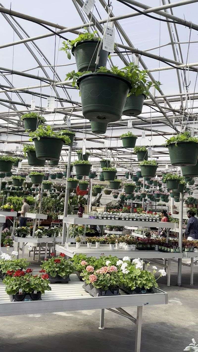 Heinz Brothers Greenhouse Garden Center, St. Charles Heinz Brothers Greenhouse Garden Center, St. Charles