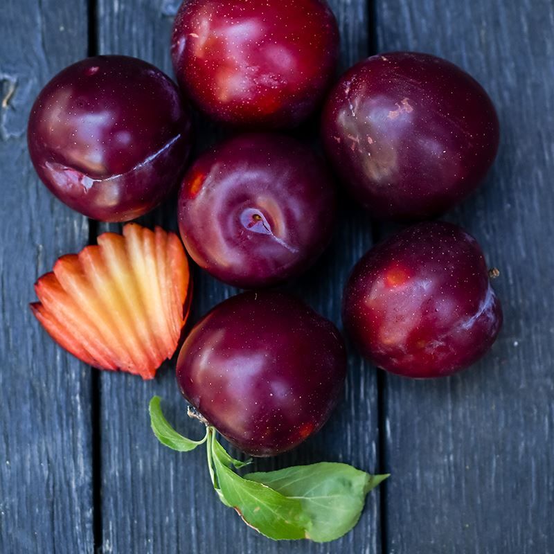Santa Rosa Plums