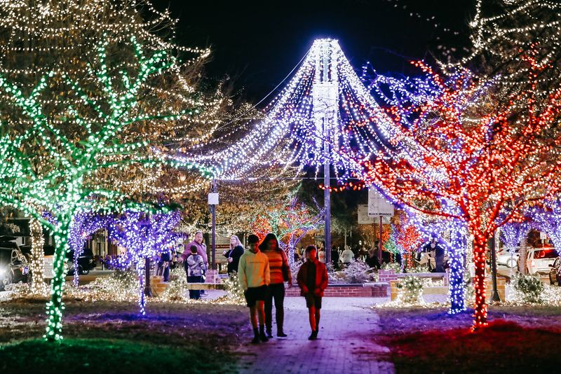 Macon — Macon Christmas Light Extravaganza (Prince Park), 555 Poplar St, Macon