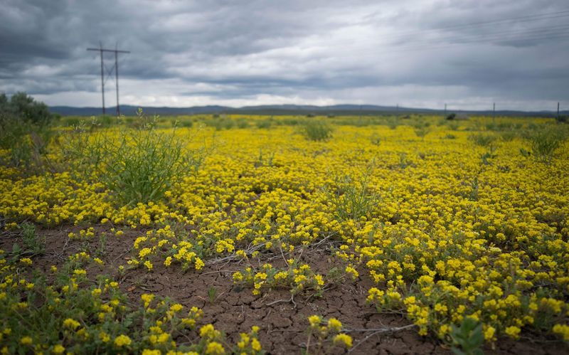 Oregon Outback Dark Sky Region