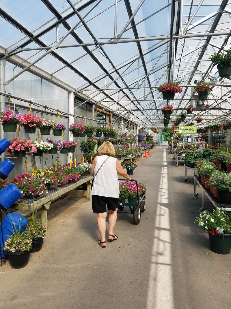 Helpful Staff And Handy Visitor Tips Helpful Staff And Handy Visitor Tips