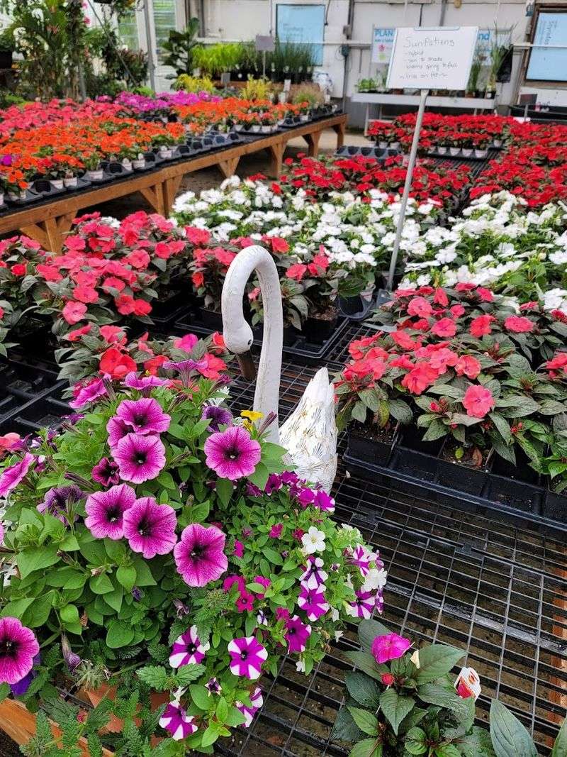 A Peaceful Stroll Through Layers Of Texture Fragrance And Bloom