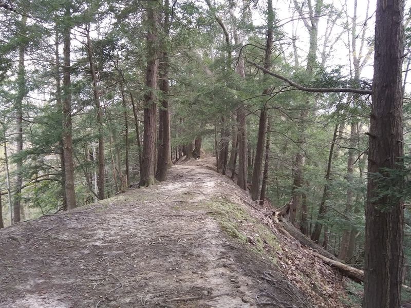 Hemlock Ridge Loop Trail At Hogback Ridge Park, Madison Township Hemlock Ridge Loop Trail At Hogback Ridge Park, Madison Township