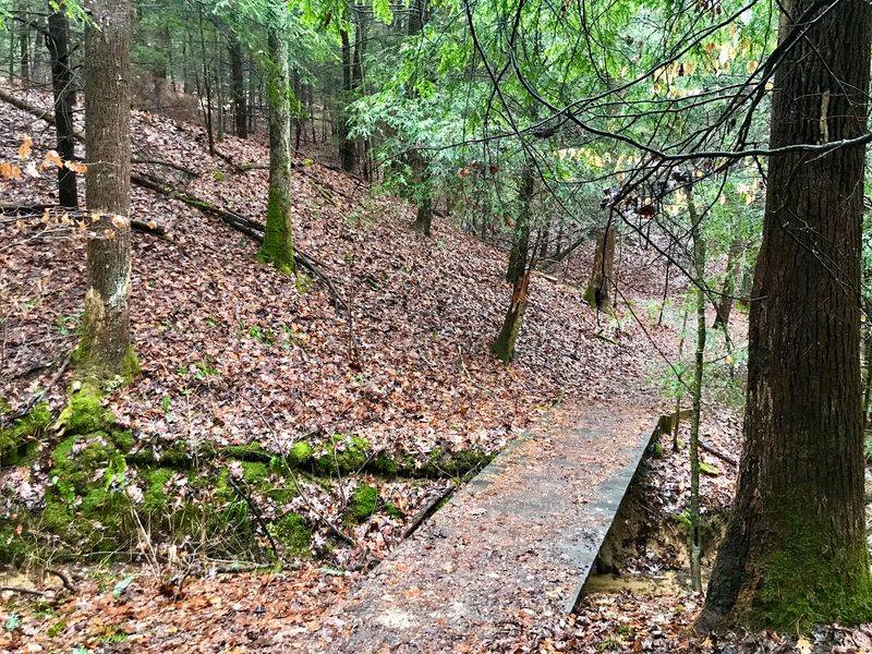 Hemlock Trail, Clear Creek Metro Park