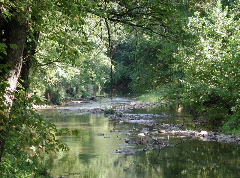 Hemlock Trail at Clear Creek Metro Park, Lancaster