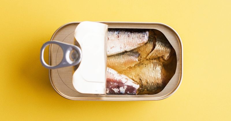 Sardines