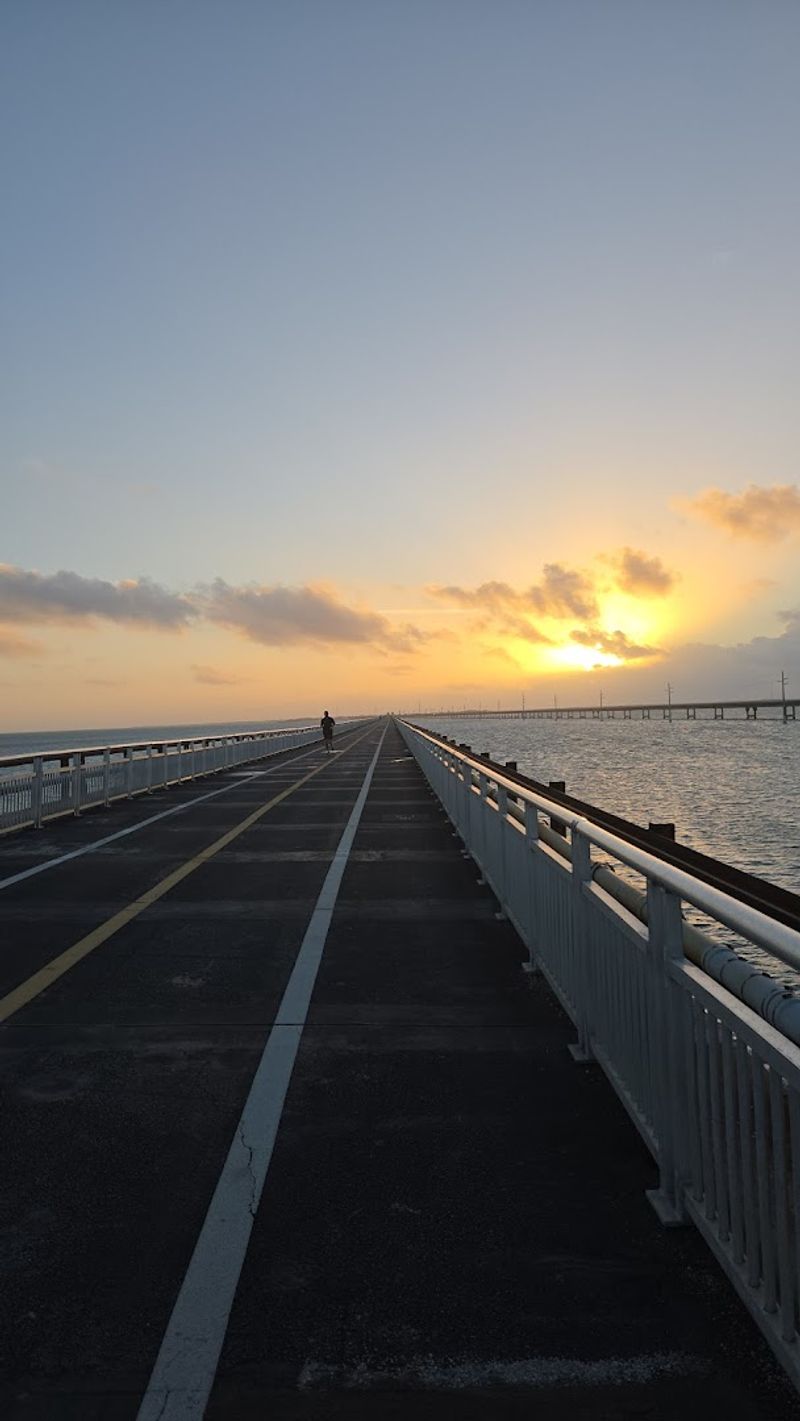 From Railroad to Road: A Second Life In The 1930s