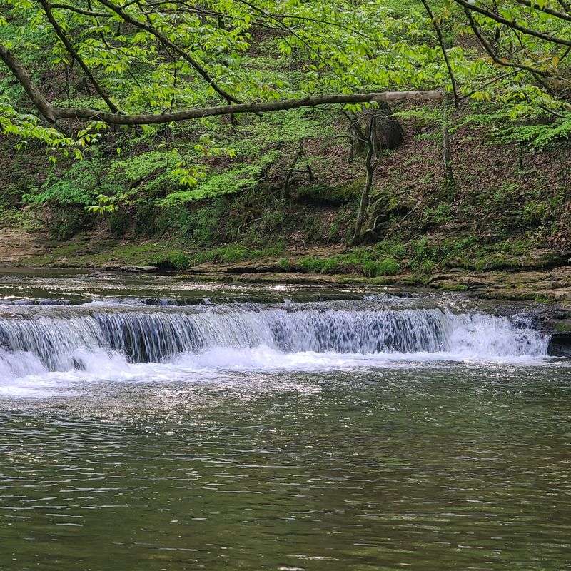 David Crockett State Park