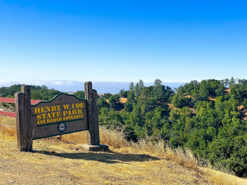 Henry W. Coe State Park