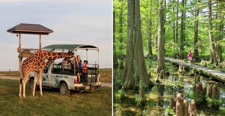 Here Are 13 Underrated But Must-See Places In Ohio For Out-Of-Towners