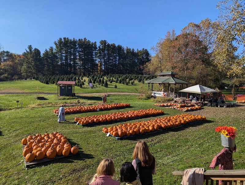 Heritage Farms, Peninsula