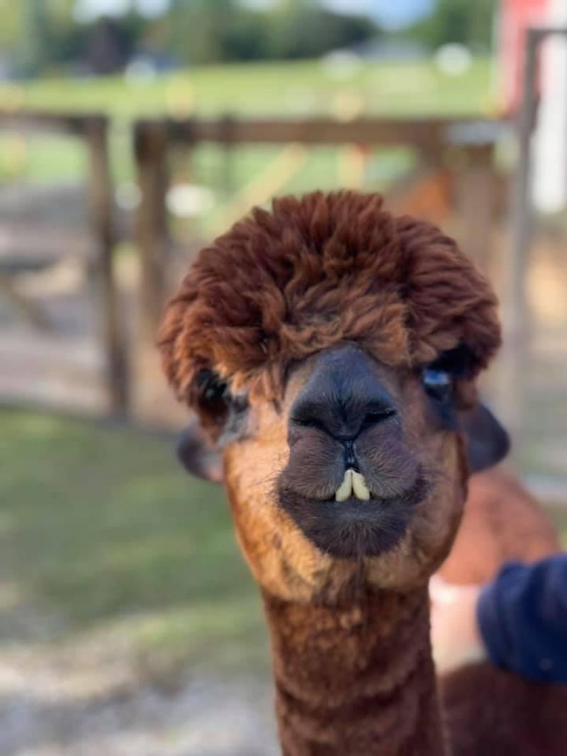 Rainbow Valley Family Farms, Traverse City