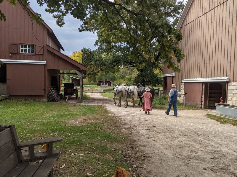 Heritage Sheep, Shorthorns, And Percheron Horses Heritage Sheep, Shorthorns, And Percheron Horses